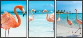 zestaw-plakatow-postery-3x-30x40-rozowe-flamingi