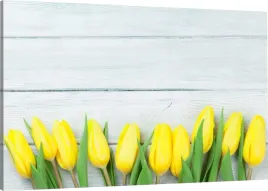obraz-na-plotnie-tulipany-kwiaty-110x70-800-wzorow