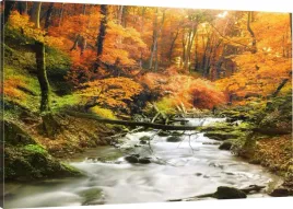 obraz-na-plotnie-potok-las-jesien-110x70-800-wz