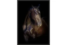 obraz-plakat-40x30-kon-portret-konia-poster