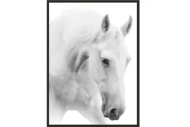 obraz-plakat-70x50-kon-bialy-nowoczesny-do-salonu
