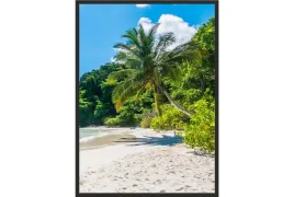obraz-plakat-70x50-palma-plaza-egzotyka-tajlandia