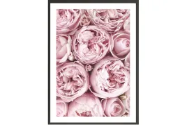obraz-plakat-40x30-kwiaty-piwonie-roz-do-kuchni