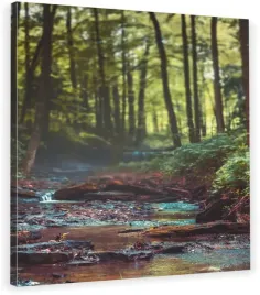 obraz-na-plotnie-natura-las-70x70x2cm-hit