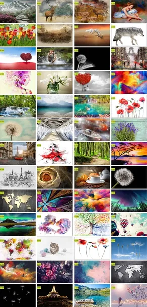 obraz-na-plotnie-biale-tulipany-bukiet-90x60-stan-nowy