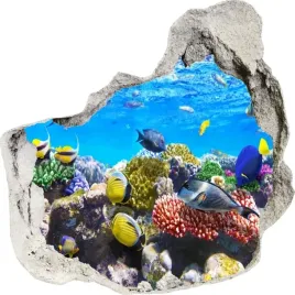 naklejki-na-sciane-scienne-3d-dziura-ryby-rafa-koralowa-ocean