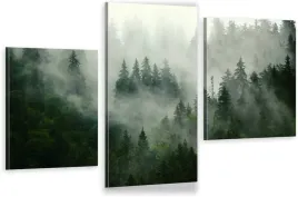 tryptyk-obraz-na-plotnie-las-natura-mgla-max-wz