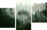 tryptyk-obraz-na-plotnie-las-natura-mgla-max-wz-stan-nowy