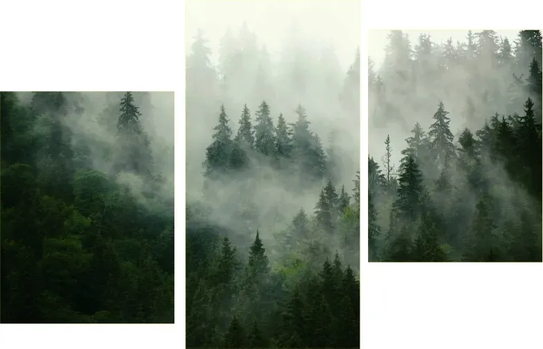 tryptyk-obraz-na-plotnie-las-natura-mgla-max-wz