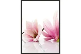 obraz-plakat-70x50-magnolia-roz-kwiaty-do-kuchni