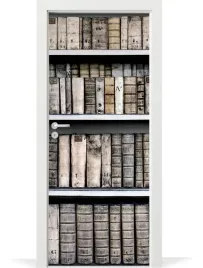 naklejka-dekoracyjna-fototapeta-na-drzwi-polka-na-ksiazki-biblioteczka