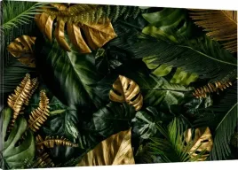obraz-na-plotnie-zlote-liscie-monstera-palmy120x80