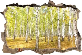 fototapeta-dziura-3d-naklejka-na-sciane-brzozy-las