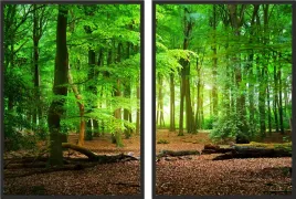 obraz-plakat-dyptyk-50x70-las-drzewa-zielen-natura