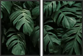 obraz-plakaty-50x70-dyptyk-zielone-liscie-monstera