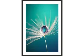 obraz-plakat-40x30-dmuchawiec-kropla-rosy-przyroda