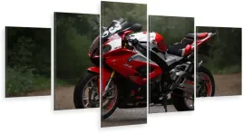 tryptyk-5-czesci-obraz-motocykl-motor-sportowy