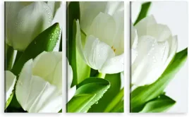 tryptyk-obraz-na-sciane-biale-tulipany-bukiet