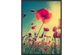 obraz-plakat-70x50-maki-laka-natura-poster