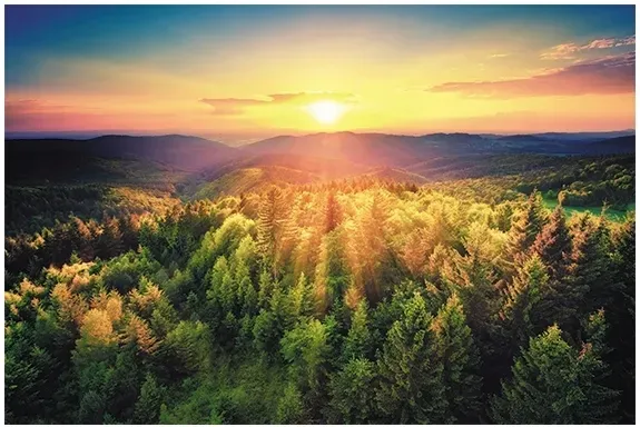 obraz-na-plotnie-bieszczady-gory-las-120x80-hit