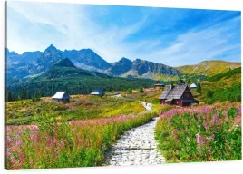 obraz-na-plotnie-do-sypialni-hala-gasienicowa-gory-tatry-kwiaty-120x80