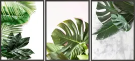 plakaty-3x-50x70-liscie-monstera-tropiki-tryptyk