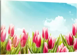 obraz-na-plotnie-tulipany-slonce-120x80-800-wzorow