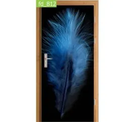 fototapeta-naklejka-na-drzwi-piorko-niebieskie