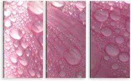 tryptyk-obraz-na-sciane-rosa-platek-980-wzorow