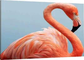 obraz-na-plotnie-flaming-70x50-800-wzorow