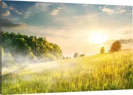 obraz-na-plotnie-slonce-zielen-natura-120x80-980wz
