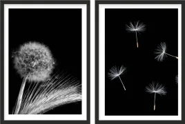 plakat-dyptyk-50x70-poster-dmuchawce-czarno-bialy
