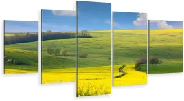 tryptyk-5-czesci-na-sciane-pole-rzepak-wies-980-wz