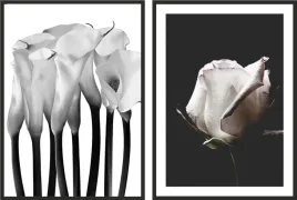 obraz-plakat-dyptyk-60x40-kwiaty-czarno-bialy