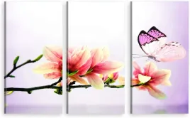 tryptyk-obraz-na-sciane-magnolia-motyl-800-wzorow