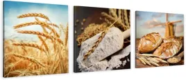 obrazy-tryptyk-canvas-do-piekarni-zboze-chleb