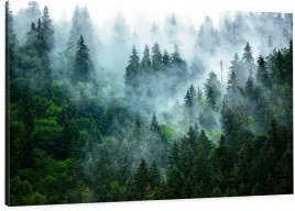 obraz-na-plotnie-las-natura-mgla-90cm-wybor-wzorow