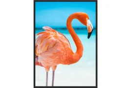 obraz-plakat-70x50-poster-flaming-do-jadalni