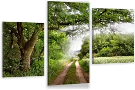 tryptyki-obraz-na-sciane-natura-droga-zielen-980wz