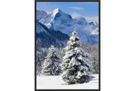 obraz-plakat-70x50-gory-zima-las-snieg-tatry