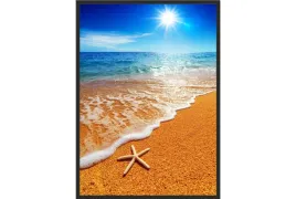 obraz-plakat-40x30-plaza-rozgwiazda-na-plazy-ocean