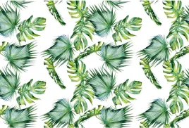 fototapety-monstera-na-wymiar-kwiaty-liscie-tapeta