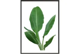 obraz-plakat-40x30-liscie-do-salonu-rosliny-poster