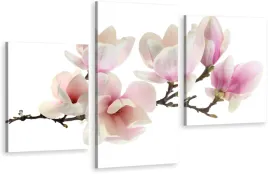tryptyki-obraz-na-sciane-kwiaty-magnolii-wybor-wz
