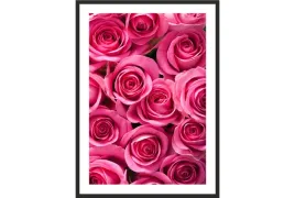 obraz-plakat-70x50-roze-kwiaty-roz-do-kuchni