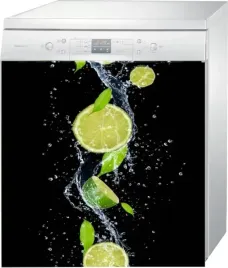 mata-magnetyczna-magnes-na-zmywarke-owoce-limonka