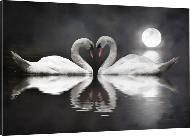 obraz-na-plotnie-do-salonu-labedzie-serce-swans