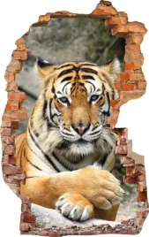 naklejki-na-sciane-fototapeta-dziura-513-tygrys