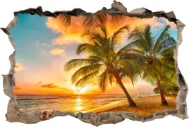 fototapeta-dziura-3d-naklejka-scienna-palmy-zachod