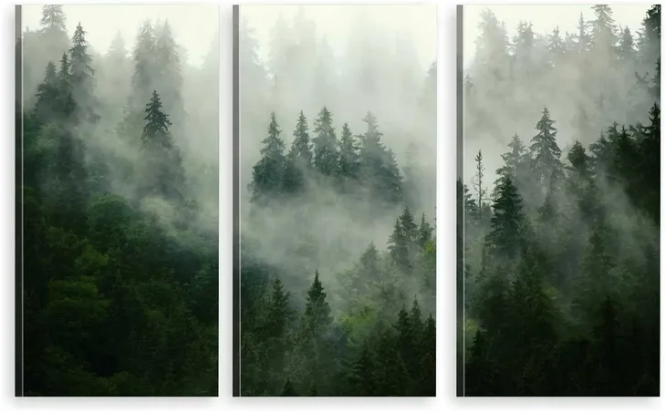 tryptyk-obraz-na-plotnie-las-natura-mgla-max-wz